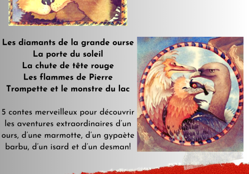 Projections de Noël