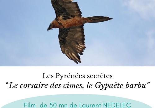 film gypaète LNédelec