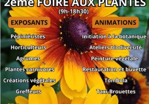 FOIRE PLANTES