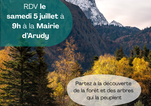 Le secret des arbres