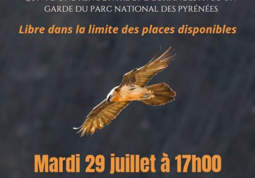 Veilleurs de montagne