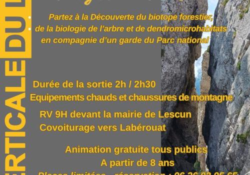 sortie forêt verticale du Livre