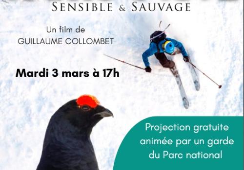 Conférence 03 03 06