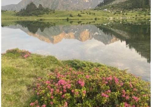 Conférence 04 08 26