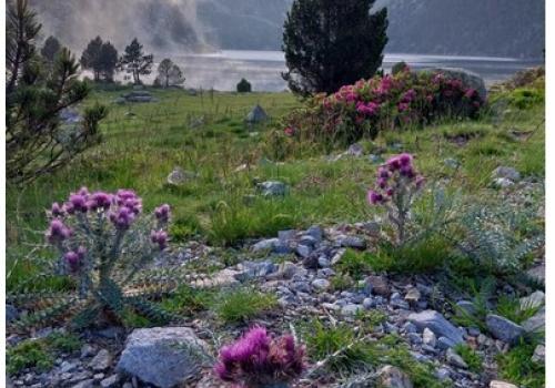 Conférence 25 08 26