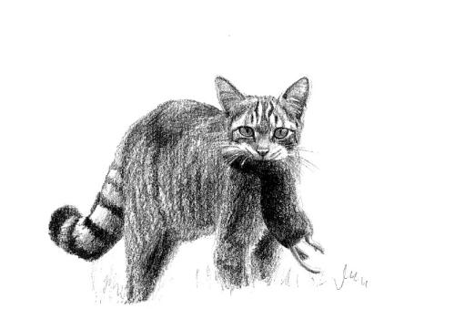 Exposition Pyrénées