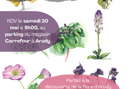 Sortie ABC
