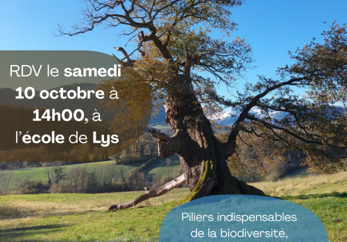 Sortie ABC