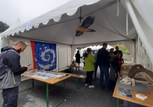 Festival d'Aulon