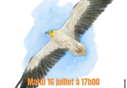 Conférence 16 07 26
