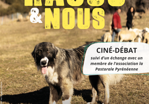 Rasco & Nous