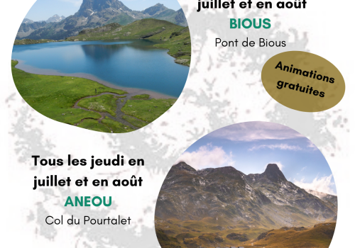 Point rencontre OSSAU