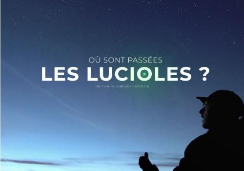 où sont passées les lucioles ?