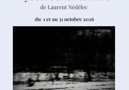 affiche expo L. Nédélec