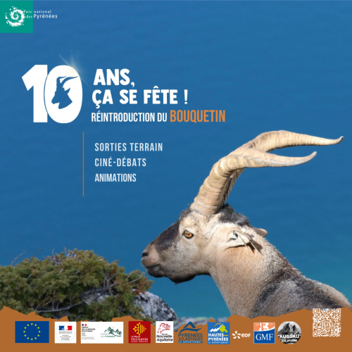 10 ans Bouquetin - carré