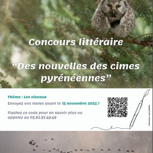 Affiche concours littéraire