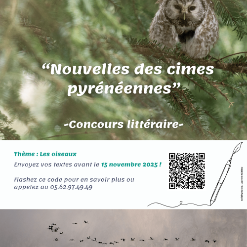 Affiche concours de nouvelles