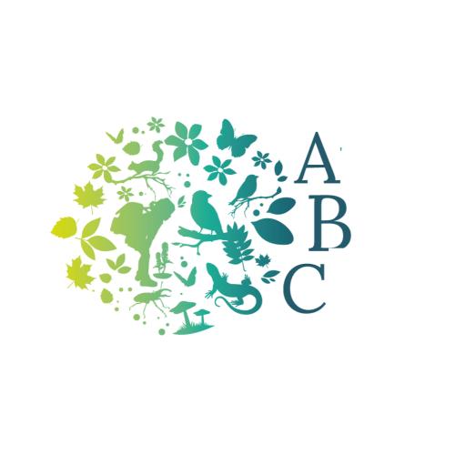 Les animations de l’ABC en terres ossaloises