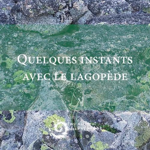 couv Instants nature lago