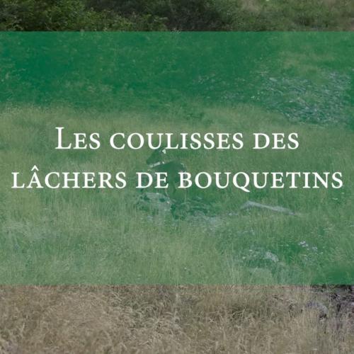 Instant nature - couv coulisse lâcher bouquetins