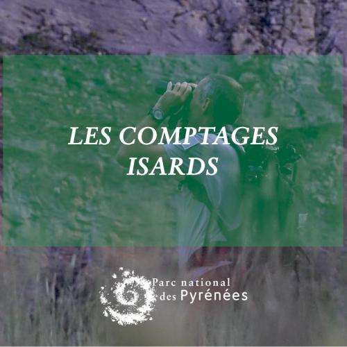 couv comptage isard