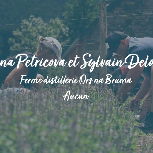 couv Ors na bruma