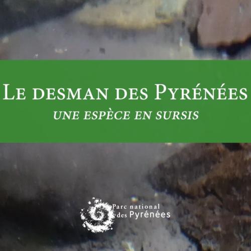 couv Desman sursis