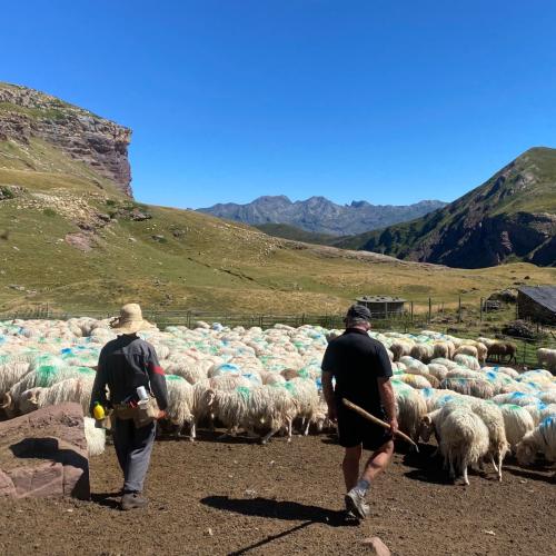 Produire en préservant la biodiversité : bienvenue chez Maxime Bajas