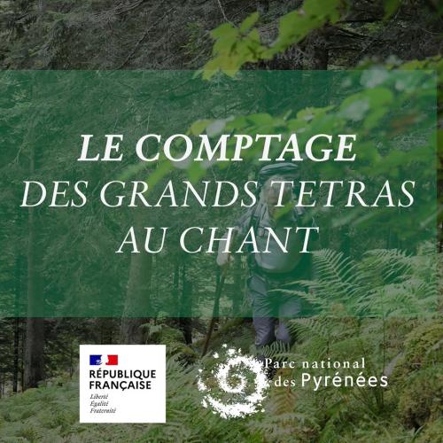 couv Instant Découverte comptage grands tétras chant