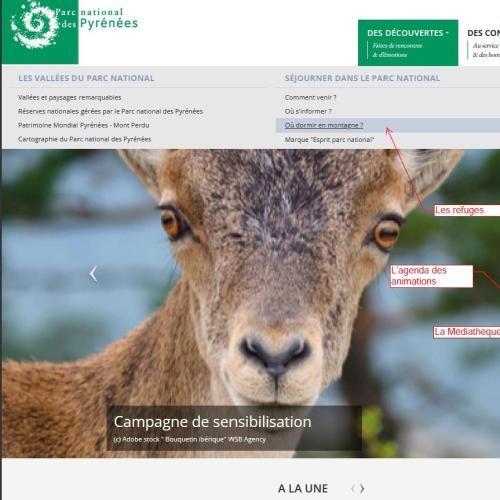 Connaissez-vous bien notre site web ? 