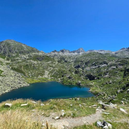 Baignade et autres activités nautiques