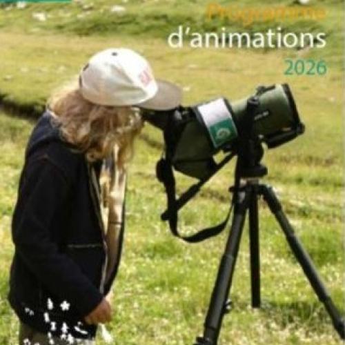 Le programme des animations estivales