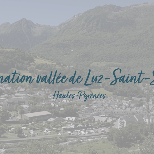 couv Destination luz
