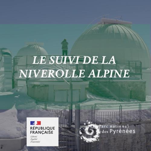 image de couv Instants Découverte Niverolle
