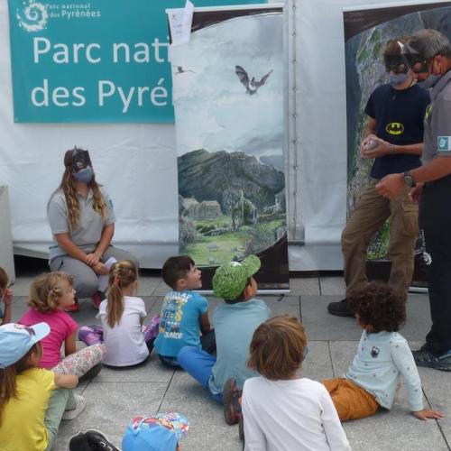 festival_image_nature_animation_scolaire_delphine_pelletier_5.jpg