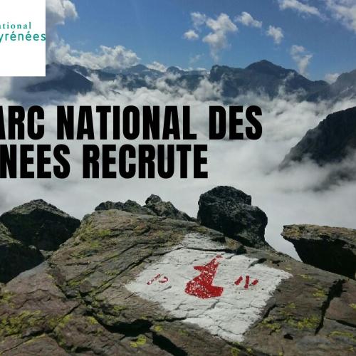 recrutement_generique_pnp.jpg