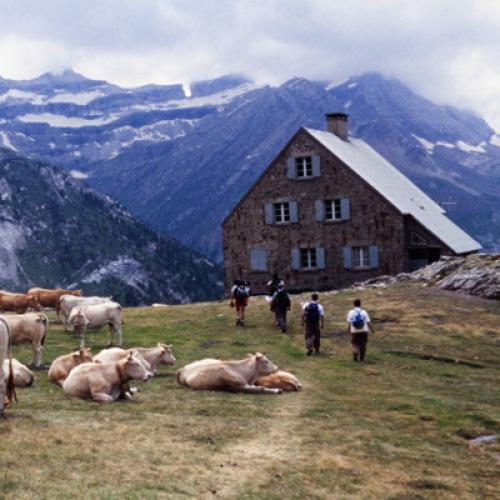 pastoralisme-et-refuge-des-espuguettes-cirque-de-gavarnie-vallee-de-gavarnie-cc-c-verdier.jpg