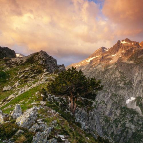 paysage-massif-du-balaitous-a-laube-depuis-les-cretes-destaing-vallee-darrens-laurent-nedelec.jpg