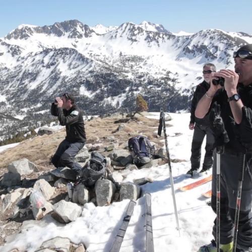 A skis et raquettes, partez à la rencontre du silence