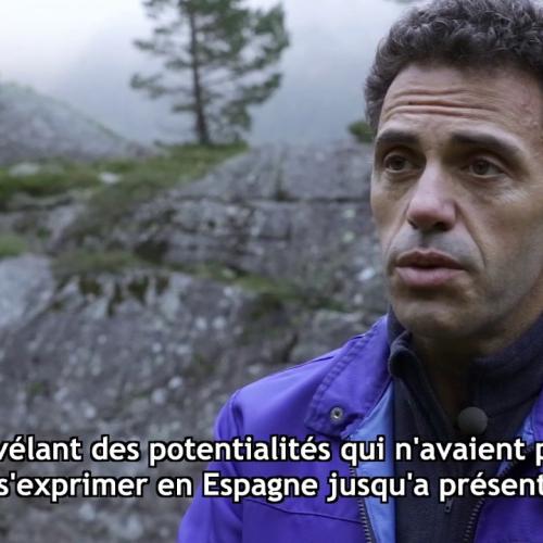 Réintroduction du bouquetin dans le Parc national des Pyrénées et le Parc naturel régional des Pyrén