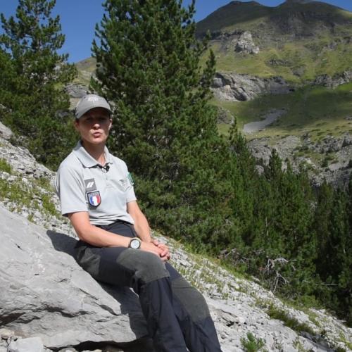  La Bordère des Pyrénées, suivi d'une plante rare