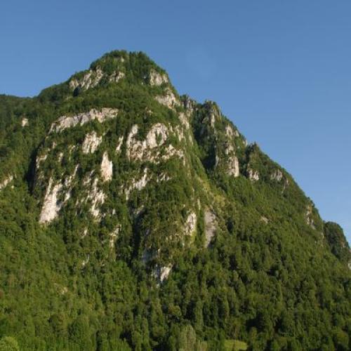 vignette_reserve_naturelle_nationale_ossau_didier_peyrusque_3.jpg