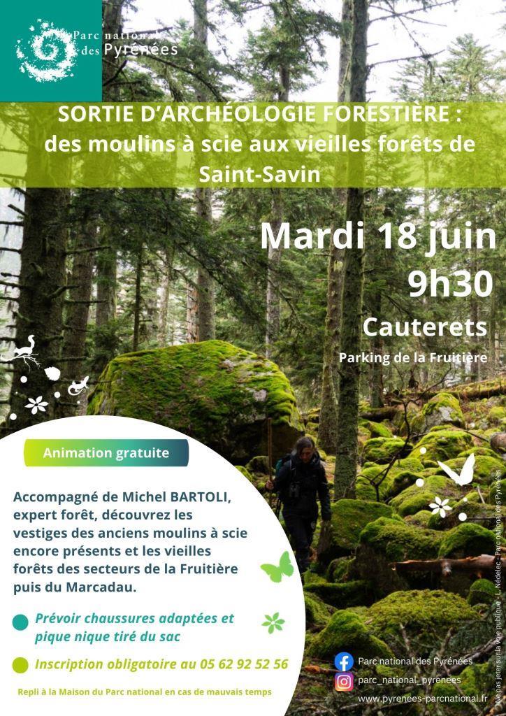 Découverte de l'archéologie forestière