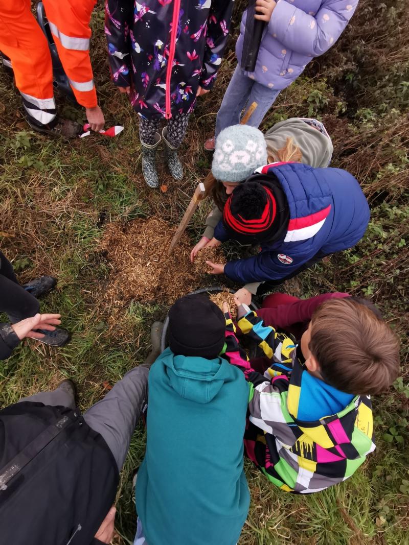 L'Aire terrestre éducative prend racine !