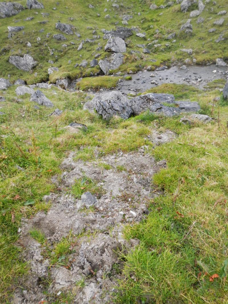 Traitement du lactosérum