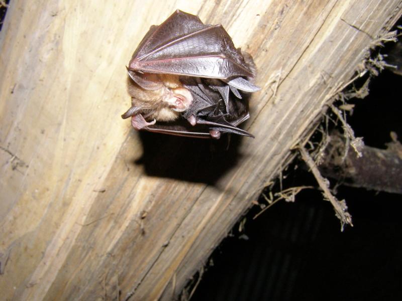 Vivre ensemble, au ch&acirc;teau de Pr&eacute;chac 