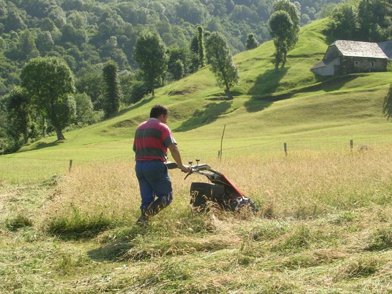 Soutien du Parc national des Pyr&eacute;n&eacute;es &agrave; l'agro-pastoralisme