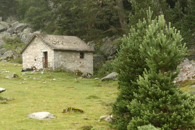 Ann&eacute;e internationale des parcours et des &eacute;leveurs pastoraux : les animations propos&eacute;es par le Parc national
