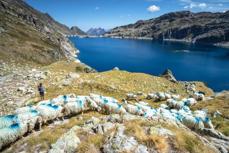 un programme de patrimonialisation des sentiers de transhumance