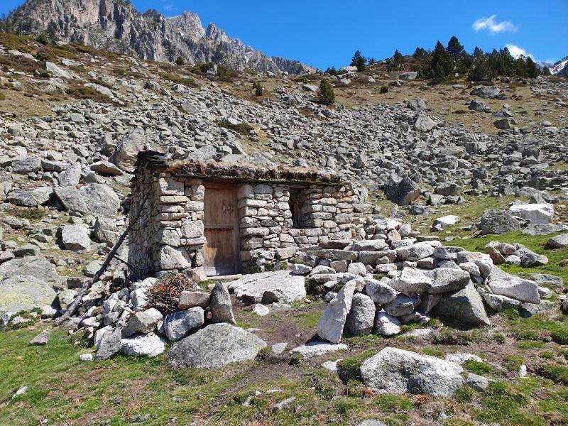 2026 : Année internationale  des parcours et des éleveurs pastoraux